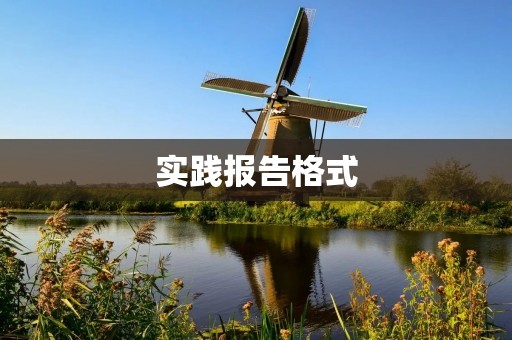 实践报告格式