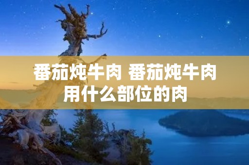 番茄炖牛肉 番茄炖牛肉用什么部位的肉