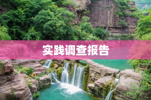 实践调查报告:大学生购物行为研究
