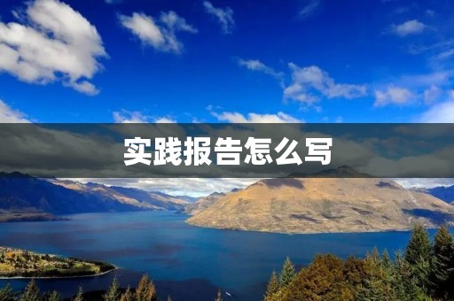 实践报告怎么写