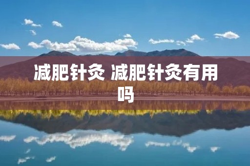 减肥针灸 减肥针灸有用吗