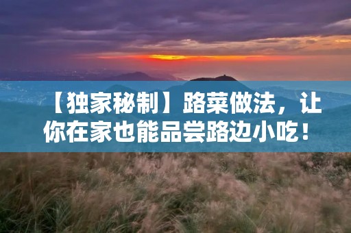 【独家秘制】路菜做法,让你在家也能品尝路边小吃! 【独家秘制】路菜做法,让你在家也能品尝路边小吃!