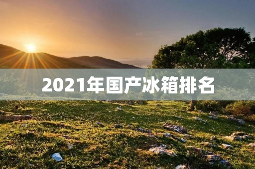 2021年国产冰箱排名:哪些品牌值得入手? 2021年国产冰箱排名:哪些品牌值得入手?
