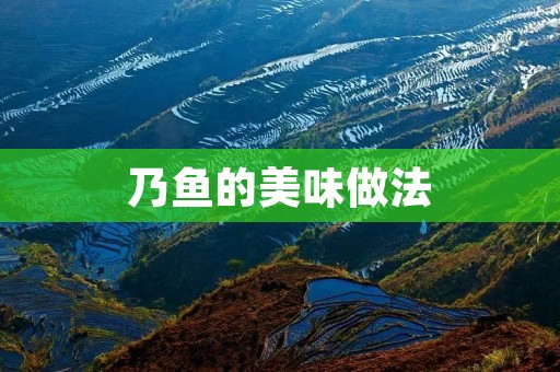 乃鱼的美味做法：让你轻松做出口感鲜美的佳肴