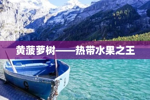 黄菠萝树——热带水果之王