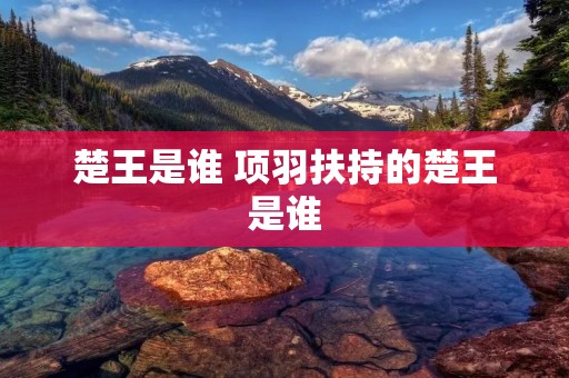 楚王是谁 项羽扶持的楚王是谁