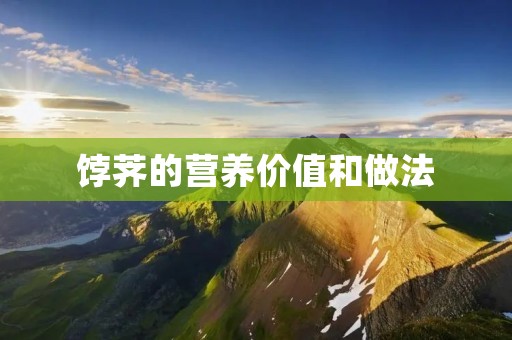 饽荠的营养价值和做法 饽荠的营养价值和做法