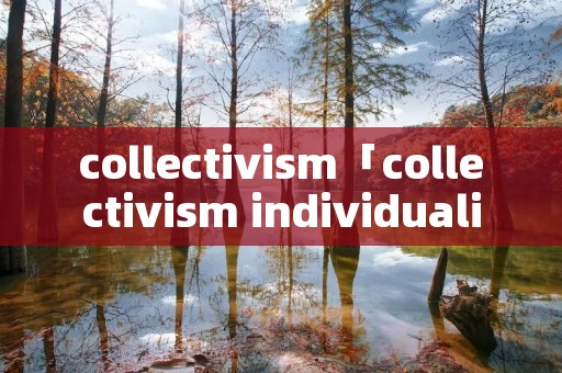 collectivi**「collectivi** individuali**」