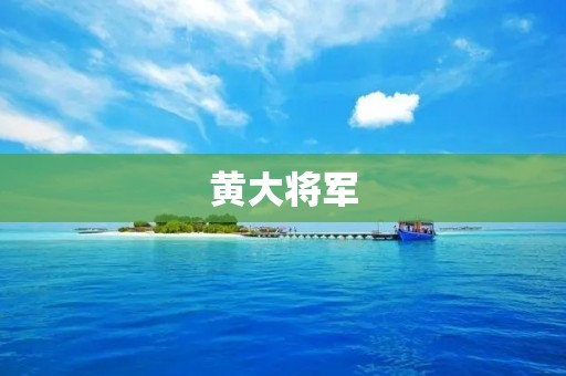 黄大将军：一位忠诚的中国革命家
