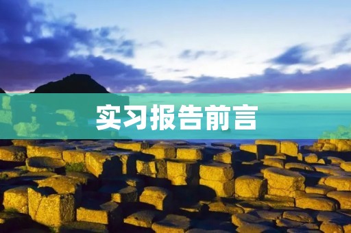 实习报告前言:我在XXX公司的实习经历
