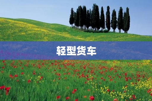 轻型货车：城市物流运输的新选择