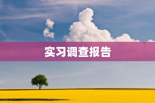 实习调查报告:大学生实习经历的问题与建议