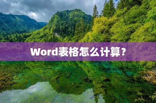 Word表格怎么计算?