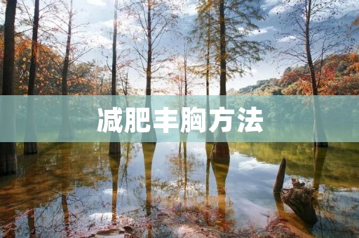 减肥丰胸方法:健康饮食和锻炼计划 减肥丰胸方法:健康饮食和锻炼计划
