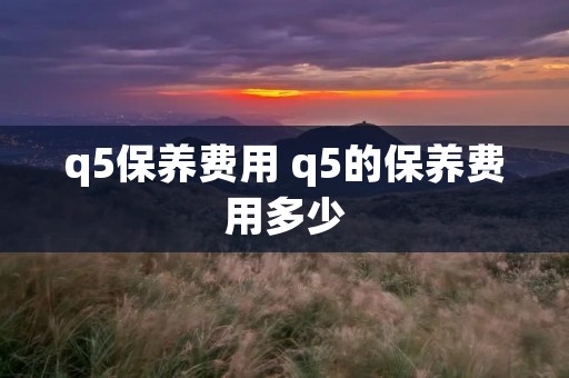 q5保养费用 q5的保养费用多少