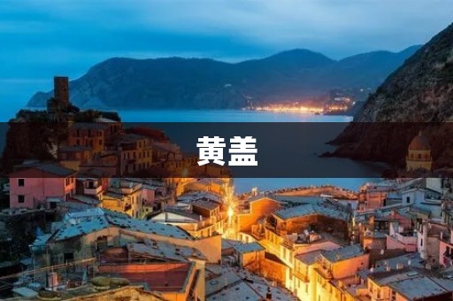黄盖:三国时期名将的传奇 黄盖:三国时期名将的传奇