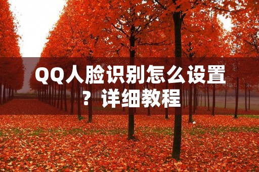QQ人脸识别怎么设置?详细教程