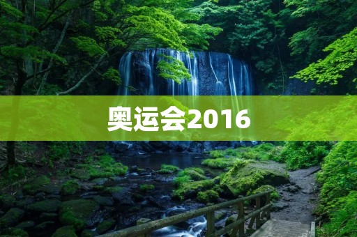 奥运会2016:里约热内卢的辉煌瞬间 奥运会2016:里约热内卢的辉煌瞬间