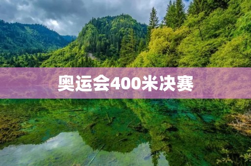 奥运会400米决赛:美国选手拿下金牌 奥运会400米决赛:美国选手拿下金牌