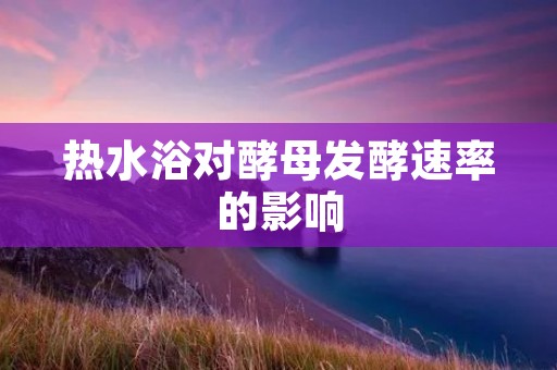 热水浴对酵母发酵速率的影响