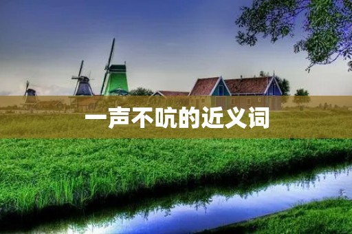 一声不吭的近义词:默不作声