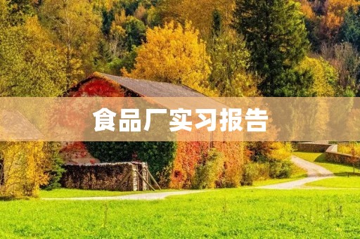 食品厂实习报告