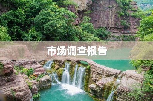 市场调查报告:中国咖啡消费市场分析与趋势预测