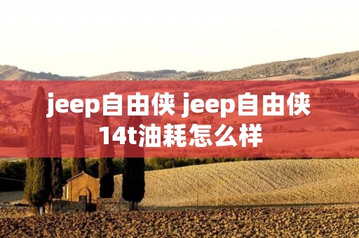 jeep自由侠 jeep自由侠14t油耗怎么样