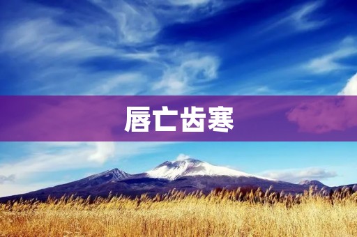 唇亡齿寒:如何化解中美贸易摩擦