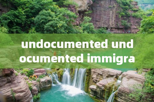 undocumented undocumented immigrant翻译