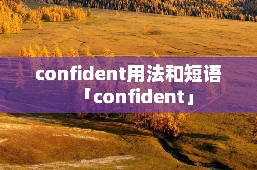 confident用法和短语「confident」