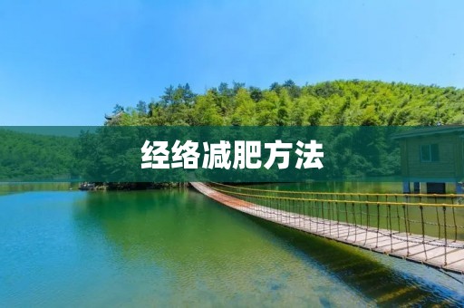 经络减肥方法：拥抱健康的身体