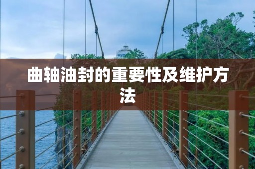 曲轴油封的重要性及维护方法