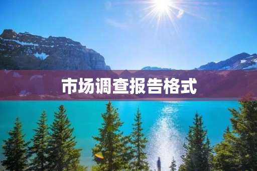 市场调查报告格式