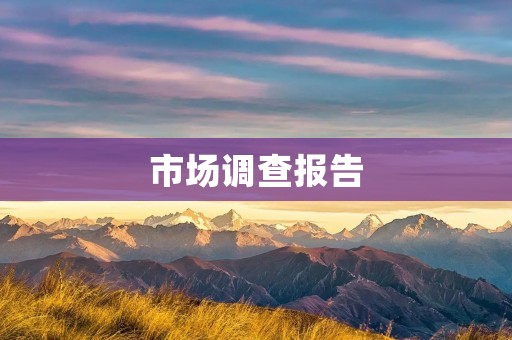 市场调查报告:如何撰写一份高质量的报告