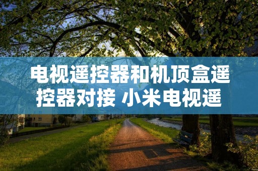 电视遥控器和机顶盒遥控器对接 小米电视遥控器和机顶盒遥控器对接 电视遥控器和机顶盒遥控器对接 小米电视遥控器和机顶盒遥控器对接