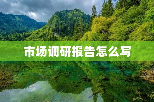 市场调研报告怎么写