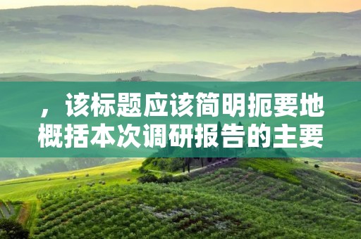 ,该标题应该简明扼要地概括本次调研报告的主要内容和研究对象。比如,如果本次调研的对象是某个特定的行业,那么标题可以写为“某行业市场调研报告”。