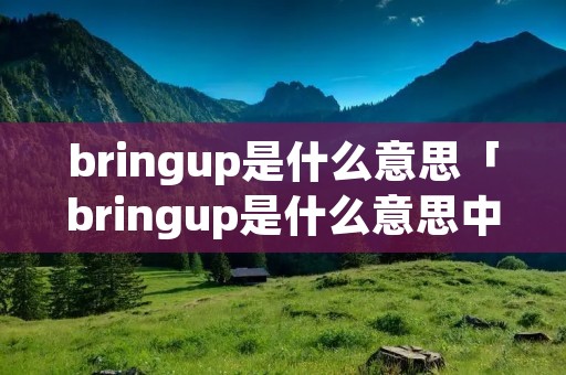 bringup是什么意思「bringup是什么意思中文」