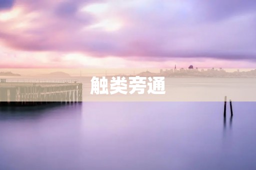 触类旁通:从一个事物中发掘出多种可能