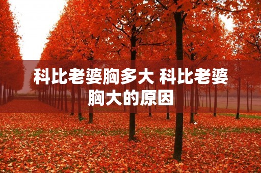 科比老婆胸多大 科比老婆胸大的原因
