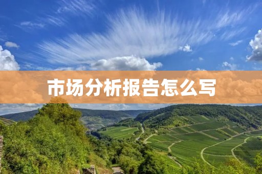 市场分析报告怎么写