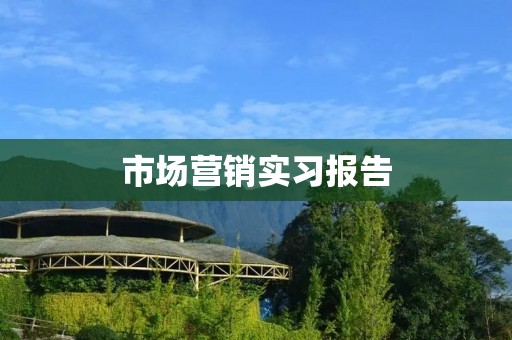 市场营销实习报告：基于数字化营销的思考与实践