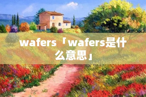 wafers「wafers是什么意思」
