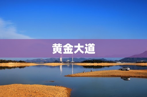 黄金大道：探寻现代商业的繁荣之路