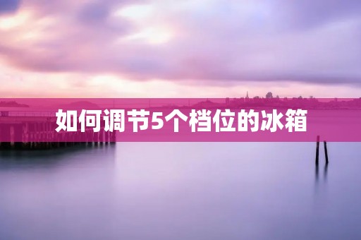 如何调节5个档位的冰箱 如何调节5个档位的冰箱