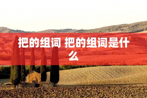 把的组词 把的组词是什么