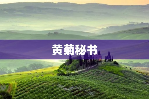黄菊秘书：一个优秀的政治人物的得力助手