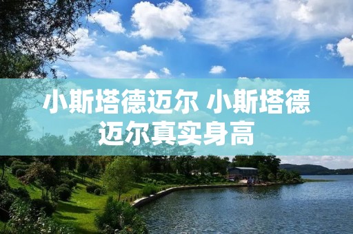 小斯塔德迈尔 小斯塔德迈尔真实身高
