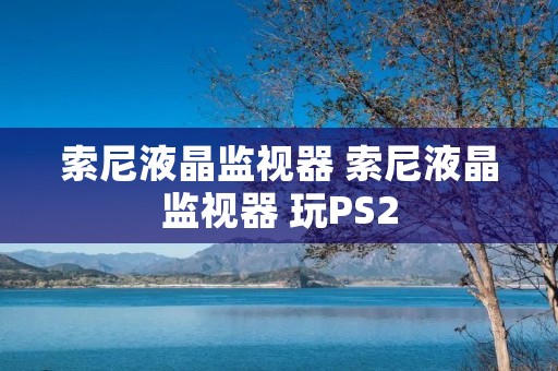 索尼液晶监视器 索尼液晶监视器 玩PS2 索尼液晶监视器 索尼液晶监视器 玩PS2